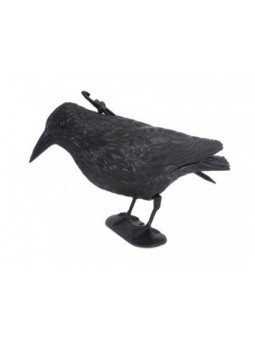 STAMPO CORVO POSATO CON GAMBE