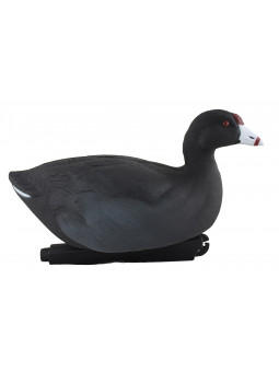 OVER SIZE COOTS FOLAGHE GHG