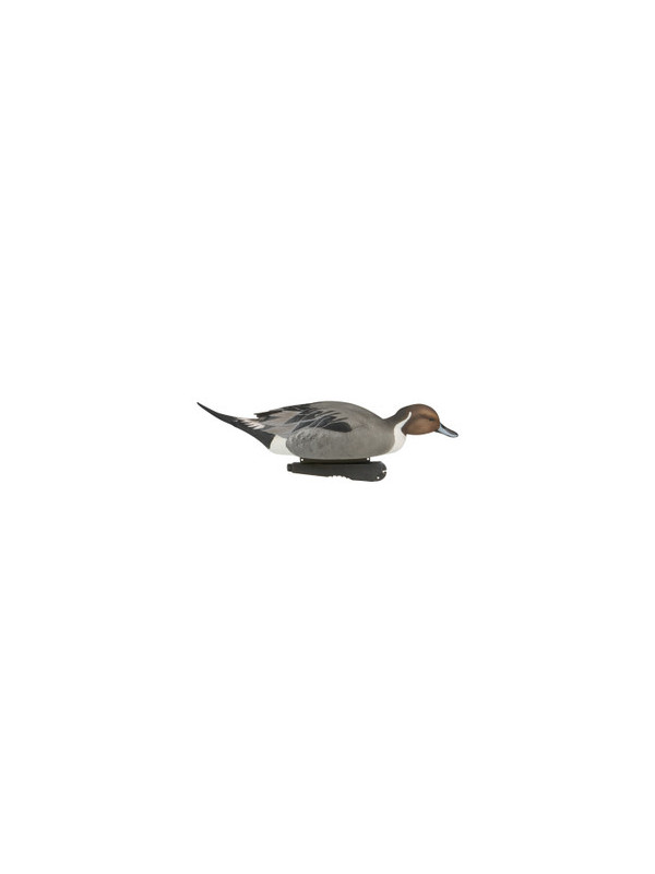 CODONI GHG PRO-GRADE PINTAILS