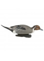 CODONI GHG PRO-GRADE PINTAILS