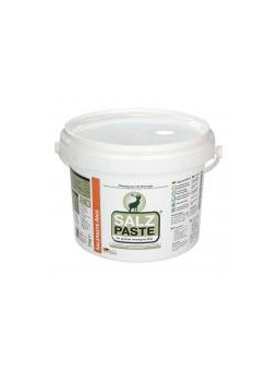 PASTA DI SALE ADESCANTE PROFUMO ANICE 2kg